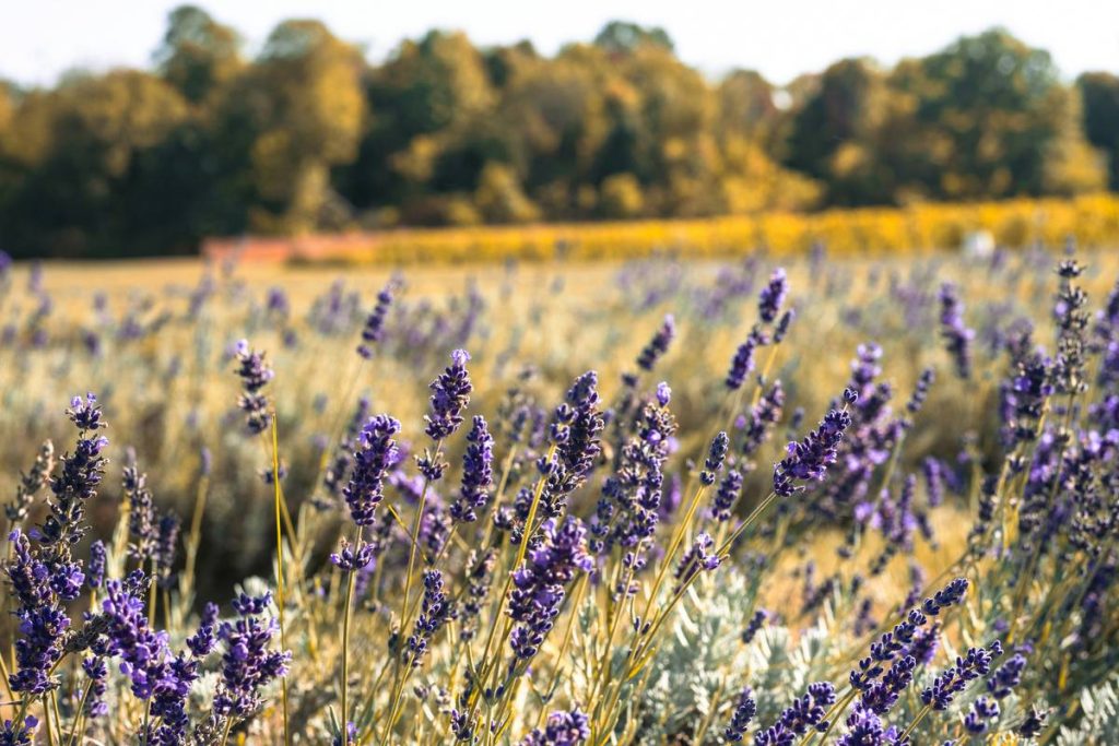 Can Zinc for Face Skin Actually Clear Breakouts and Boost Radiance? Here’s What Science Says